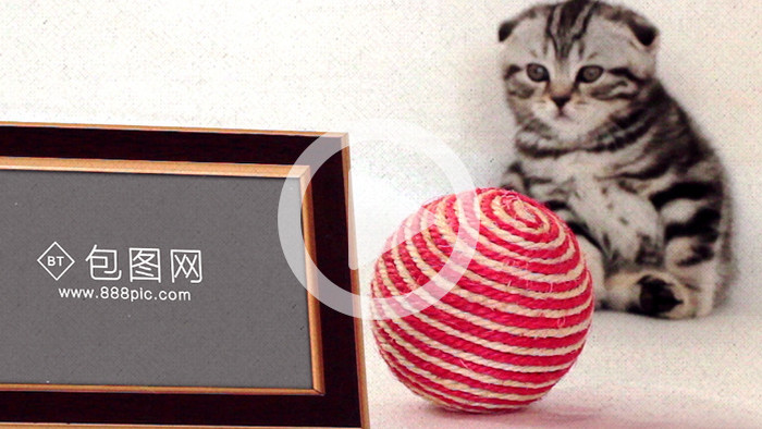 家庭宠物猫电子相册AE片头模板
