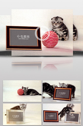 家庭宠物猫电子相册AE片头模板图片