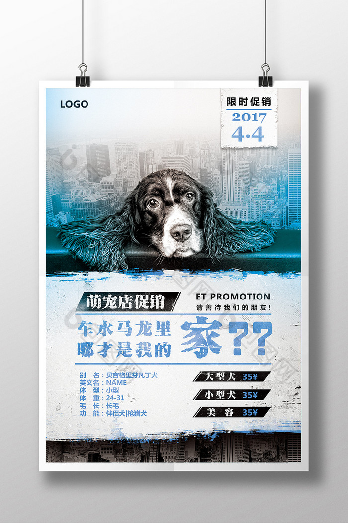 宠物店宠物海报促销海报图片
