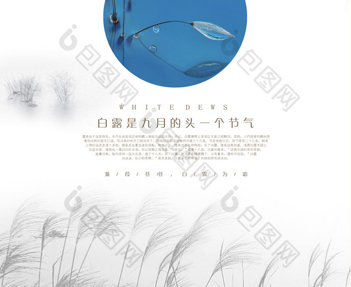 中国风白露节日海报设计