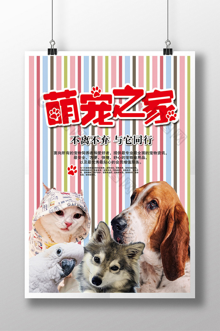 宠物之家宠物医院宠物海报图片