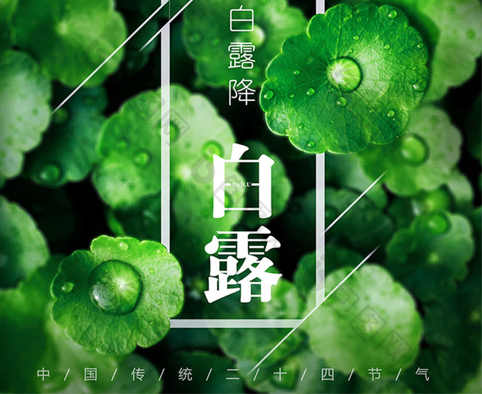 极简创意二十四节气白露海报