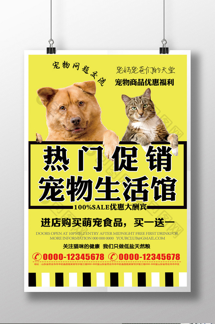 宠物生活馆热门促销海报