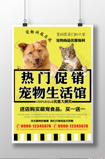 宠物生活馆热门促销海报图片