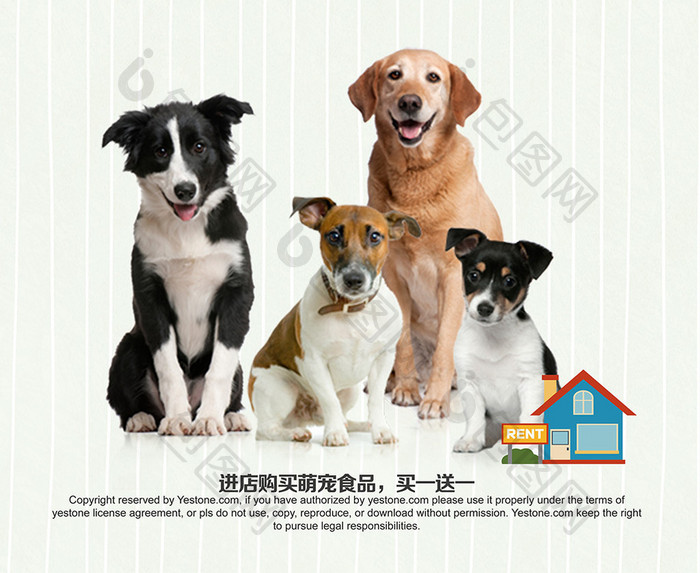 宠物店促销海报设计模板