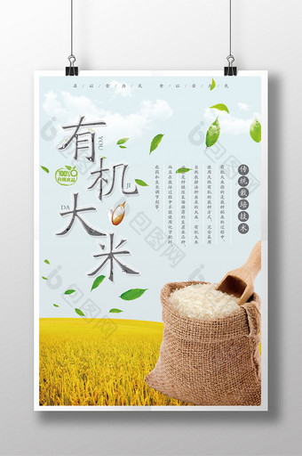 美食系列之有机大米清新海报展板图片