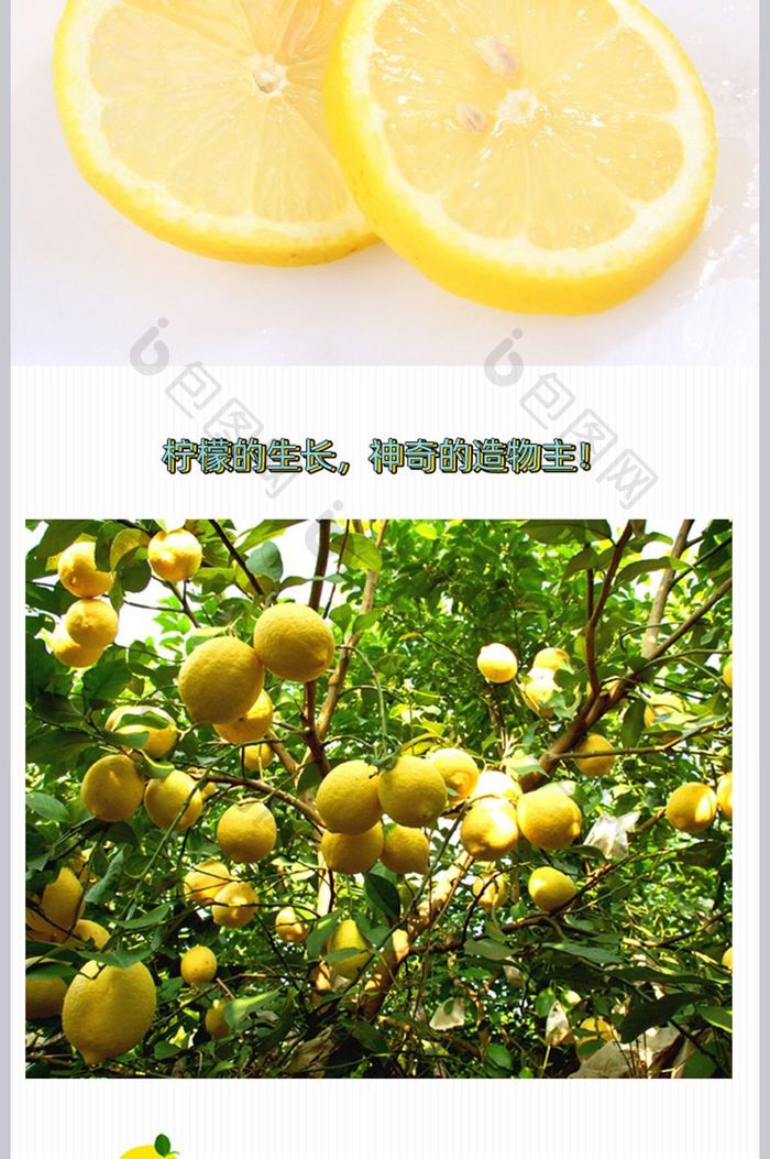 卡通手绘水果清新柠檬橘子宝贝详情页PSD
