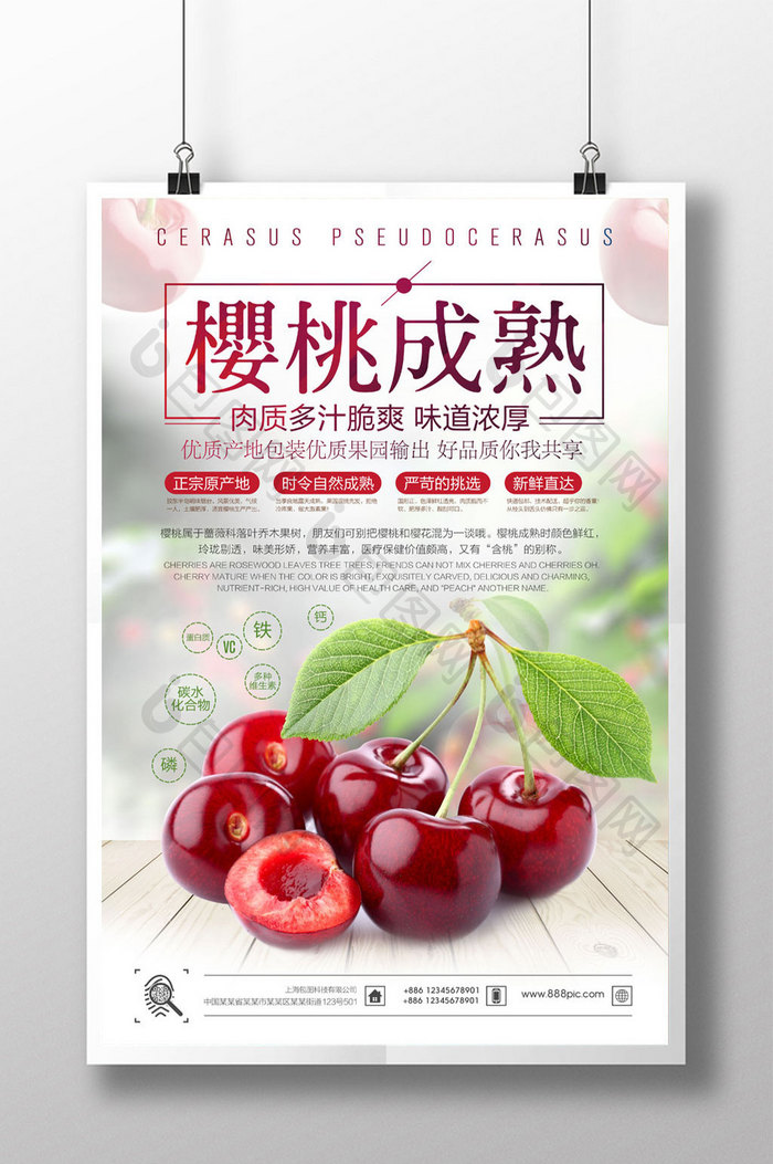 樱桃成熟美食海报设计