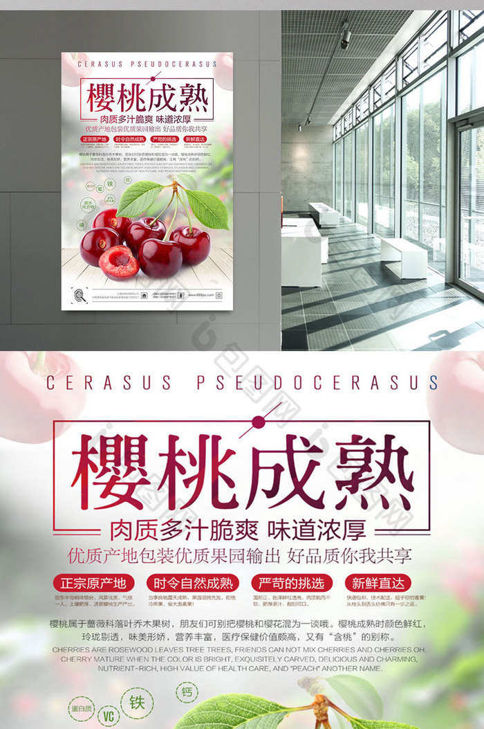 樱桃成熟美食海报设计
