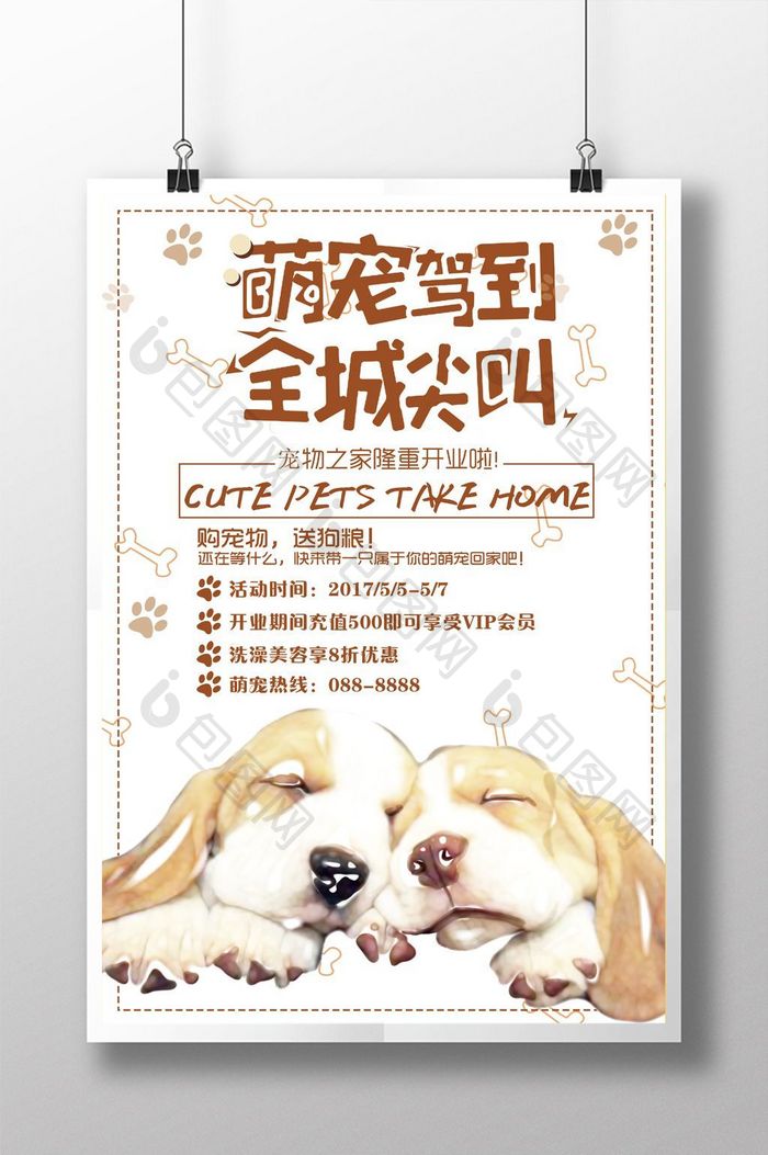 宠物店促销活动海报