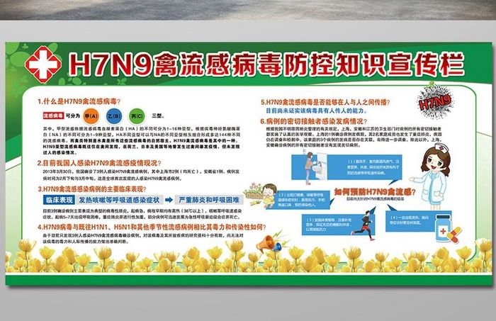 H7N9健康教育宣传栏设计