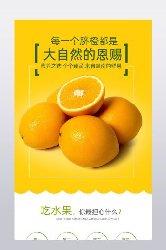 脐橙详情图片