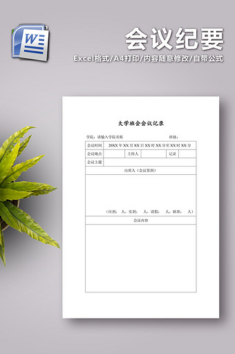 会议纪要范文word文档图片