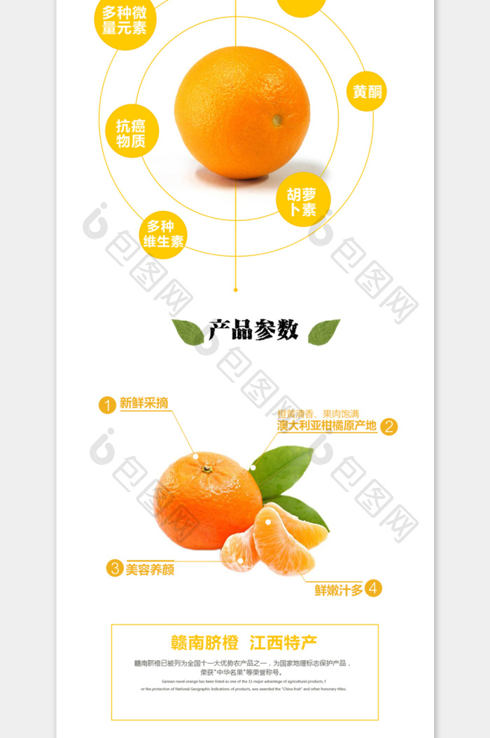 橙子描述图甜橙模版