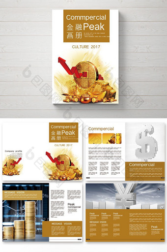 金色大气高端的金融宣传册设计图片
