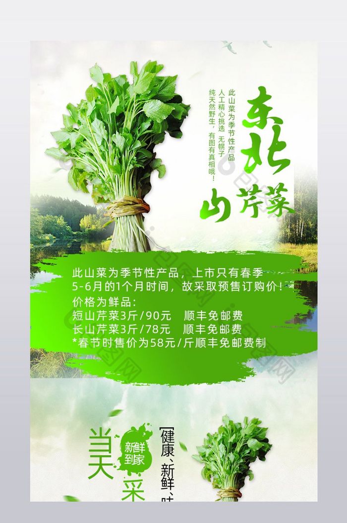 野生菜山野菜图片