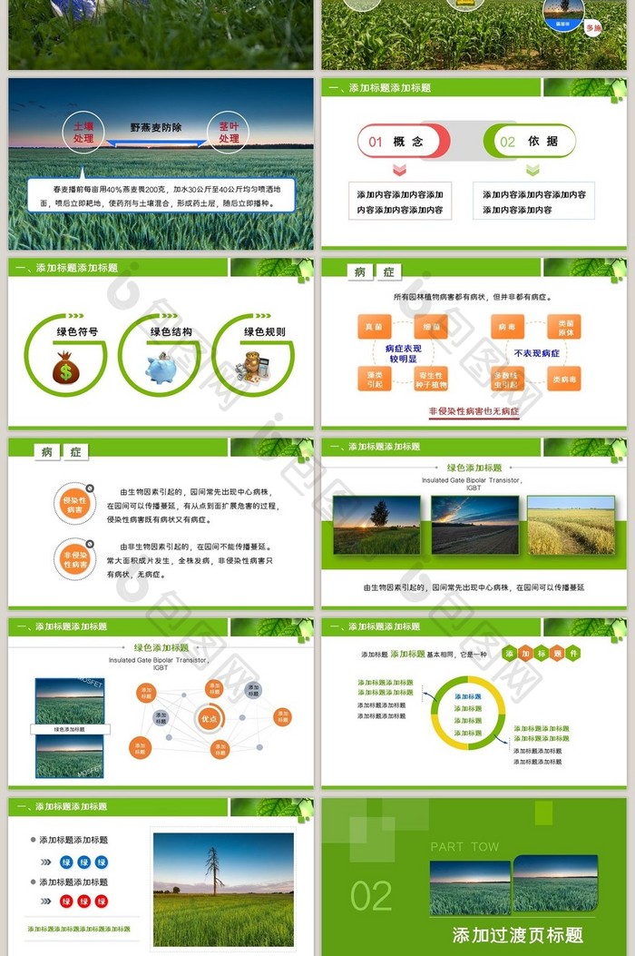 简约时尚风格的绿色植物环保总结汇报PPT