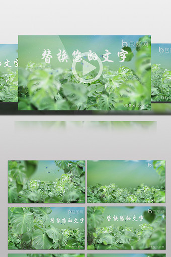 热带雨林植物穿梭文字标题开场片头图片