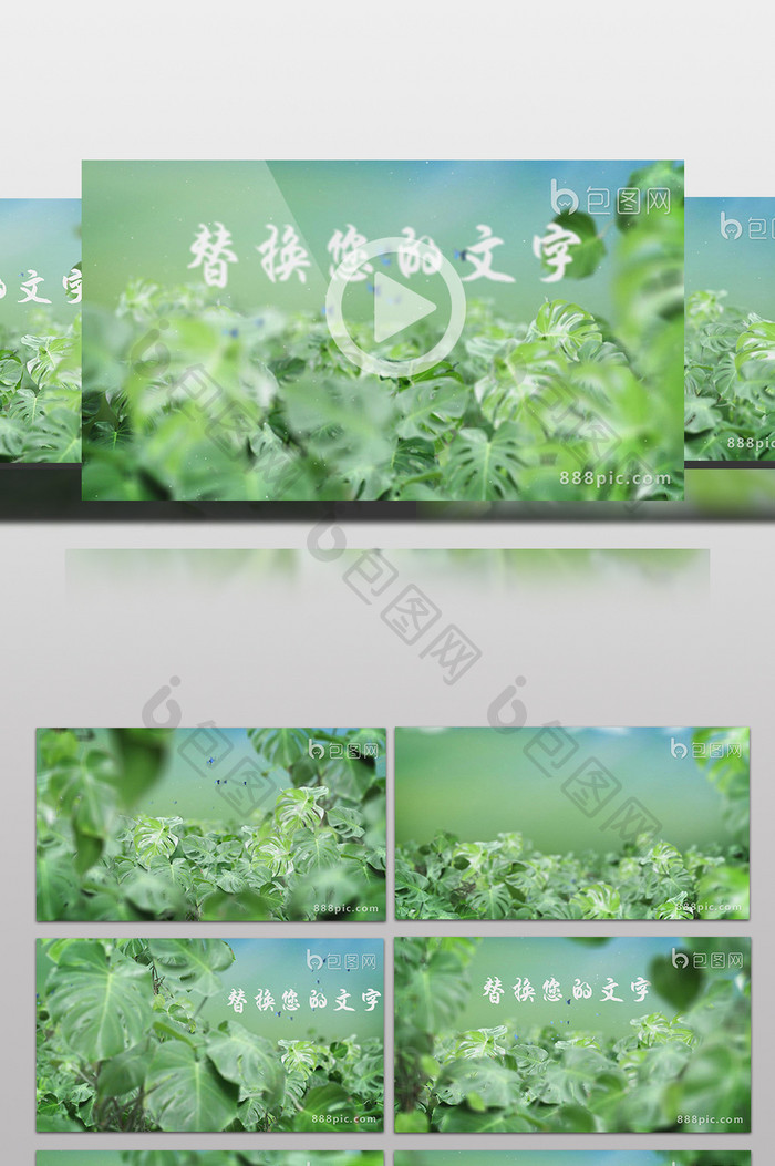 热带雨林植物穿梭文字标题开场片头