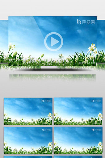 蓝天白云绿草白花动态循环背景高清视频素材图片