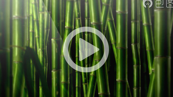 青葱密集的竹林循环背景高清视频素材