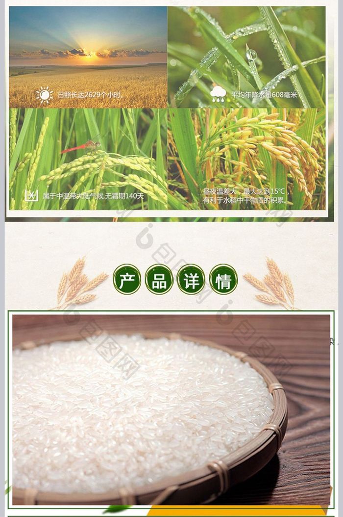 农产品优质大米详情页