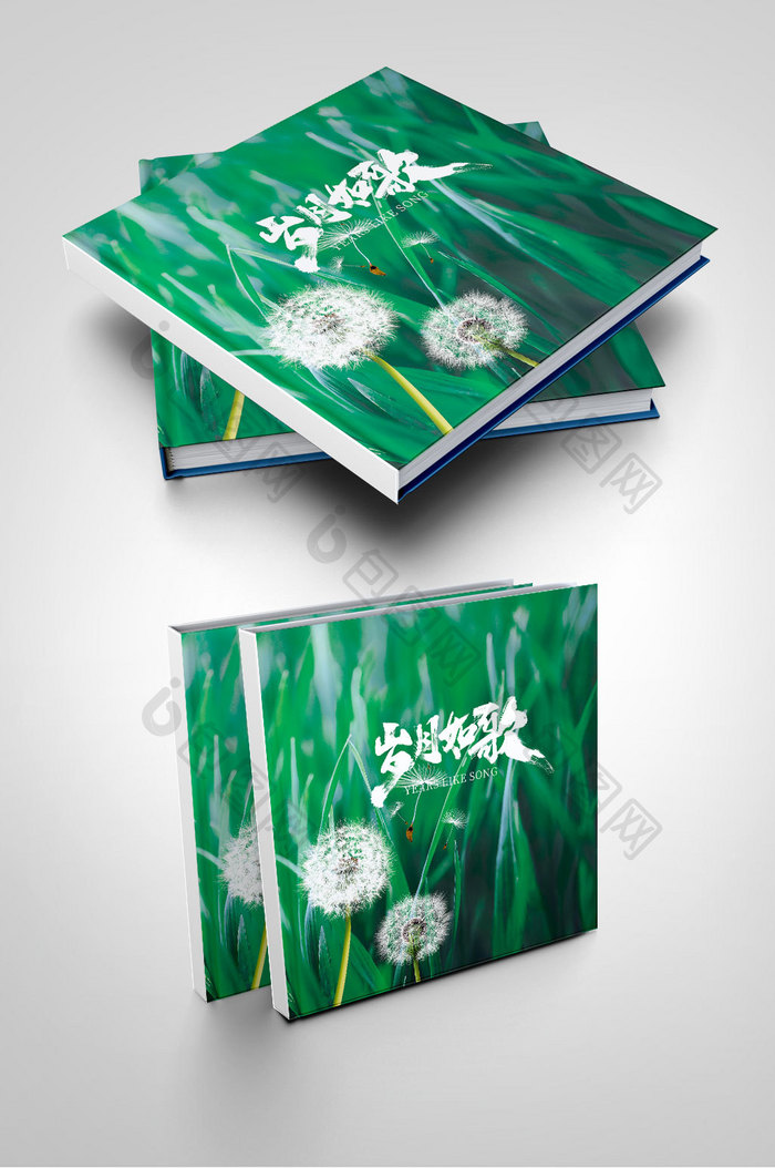 光阴的故事聚会纪念册封面设计