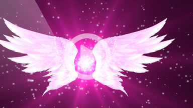 [婚庆现场视频素材]图片下载_婚庆现场视频素