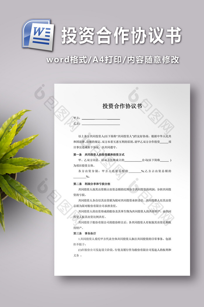 投资合作协议书（方案）