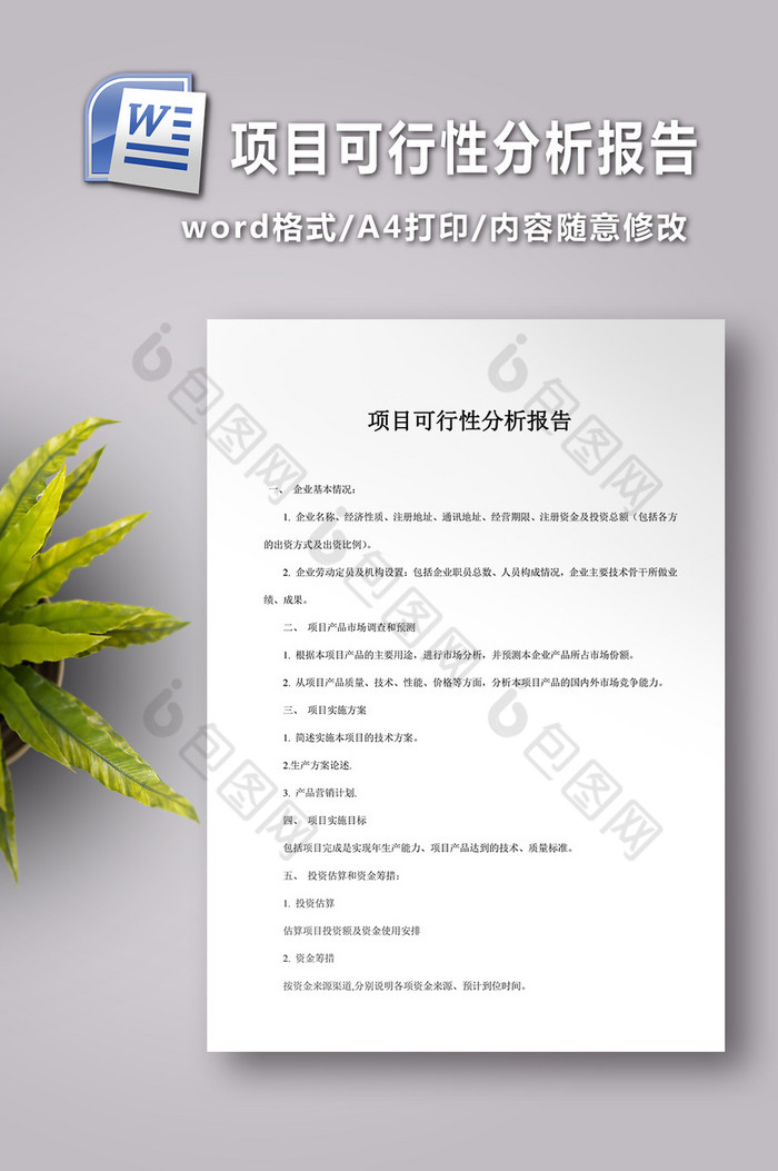 项目可行性分析报告图片图片