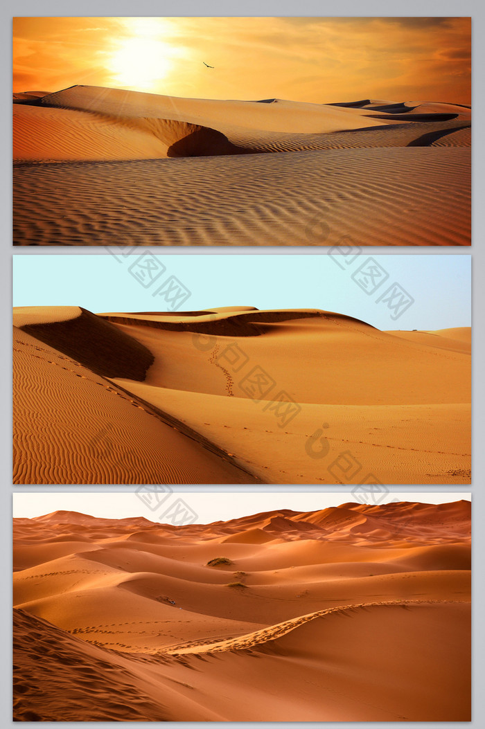沙漠阳光风景背景图