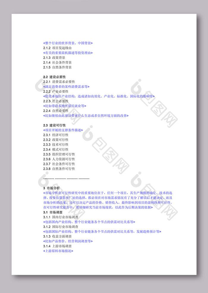 可行性研究报告模板