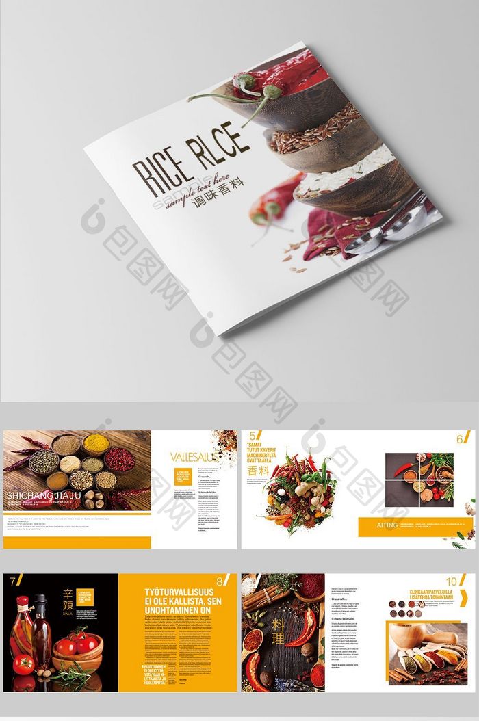 调料文化 美食调料画册设计