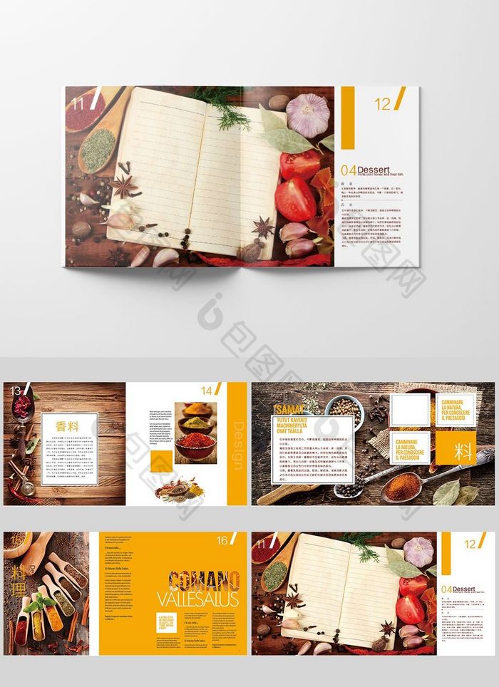 调料文化 美食调料画册设计