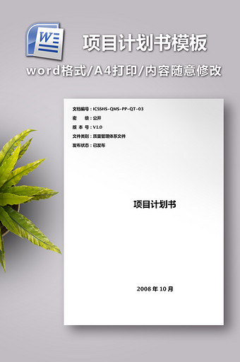 项目计划书模板word图片