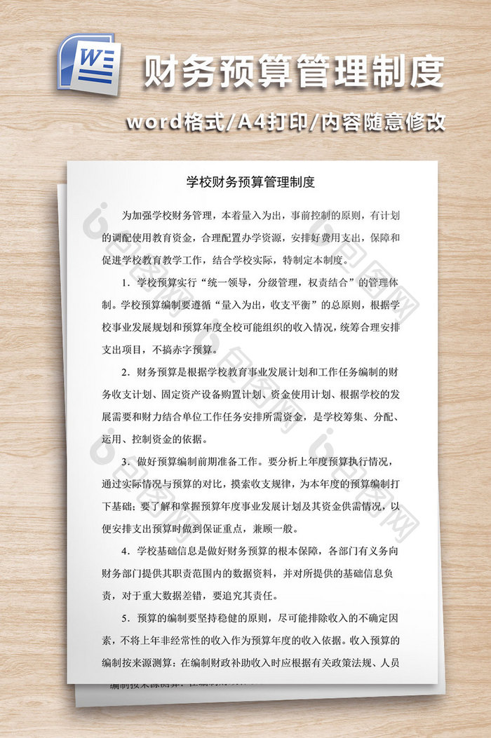 学校财务预算管理制度WORD文档