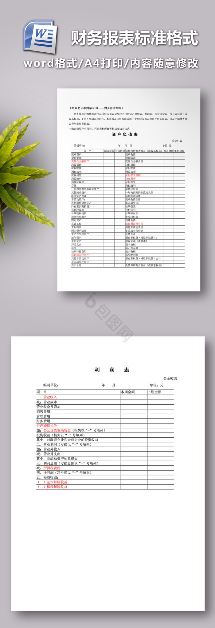 财务报表标准格式完整版