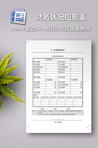 财务状况控制表格图片