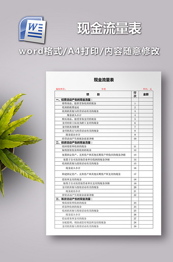 现金流量表word版格式图片