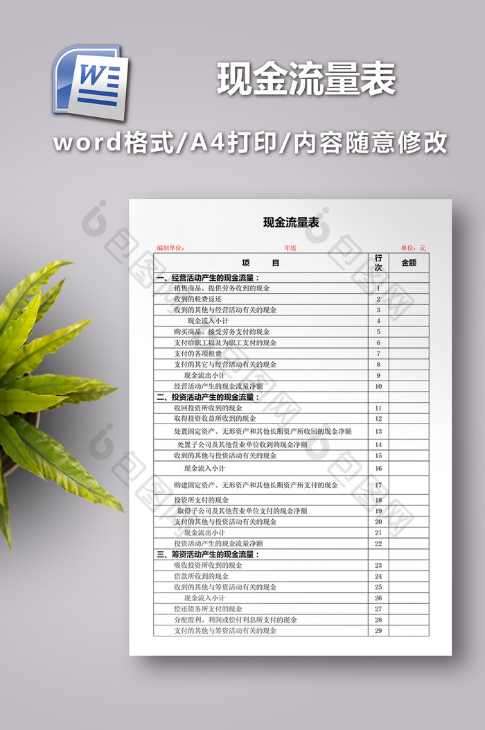 现金流量表word版格式