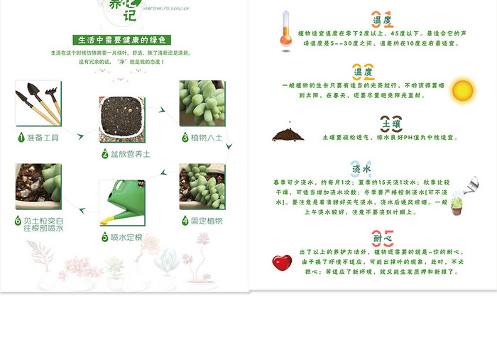 绿色小清新DIY植物种植养护宣传册