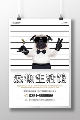 宠物生活馆海报设计