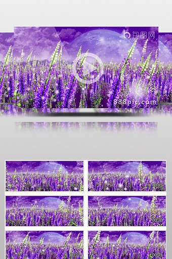 紫色薰衣草动态舞台背景原创led屏图片