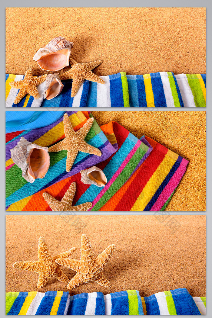 沙滩海星图片背景图
