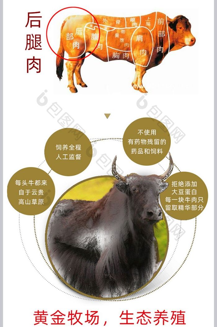 牛肉干食品类详情页宝贝描述设计