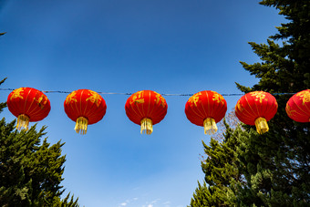 春节中国年红色喜庆红灯笼