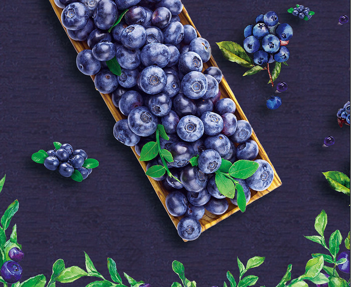 天然蓝莓创意海报