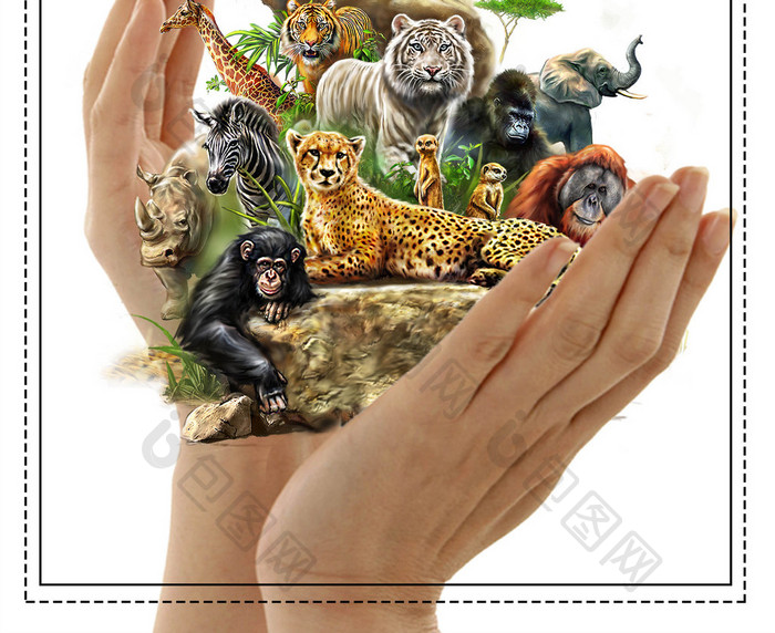 保护野生动物公益宣传海报