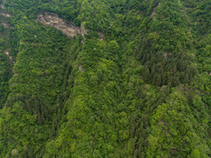 湖南张家界武陵源5A景区 (54)