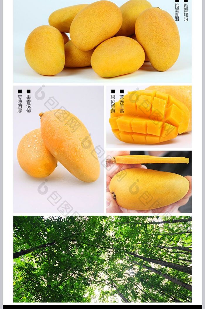 新鲜水果青皮芒果越南玉芒青芒8斤热带水果